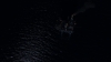 the100_314_1462.jpg