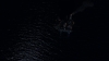 the100_314_1463.jpg