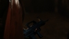 the100_314_2452.jpg