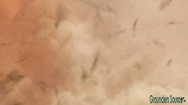 The 100 Season Three Episode Fifteen Perverse Instantiation Part One Captures-195
