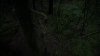 the100_315_0117.jpg