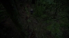 the100_315_0119.jpg