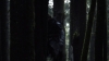 the100_315_0171.jpg