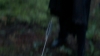 the100_315_0172.jpg