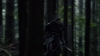 the100_315_0175.jpg