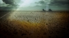 the100_315_0307.jpg