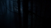 the100_315_0731.jpg