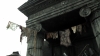 the100_315_1184.jpg