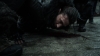 the100_315_1562.jpg