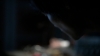 the100_315_1686.jpg