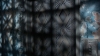 the100_315_1843.jpg