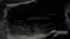 the100_315_1948.jpg