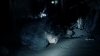 the100_315_2154.jpg