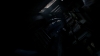 the100_315_3108.jpg