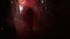 the100_315_3184.jpg