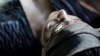 the100_316_0493.jpg