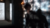 the100_316_1067.jpg
