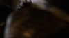 the100_316_1130.jpg