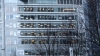 the100_316_1544.jpg