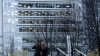 the100_316_1545.jpg