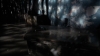 the100_316_1921.jpg
