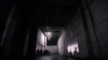 the100_316_2084.jpg