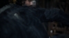 the100_316_2455.jpg