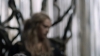 the100_316_2516.jpg