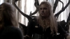 the100_316_2778.jpg