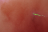 vlcsnap-2015-11-02-23h06m48s969.png