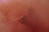 vlcsnap-2015-11-02-23h06m49s523.png