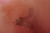 vlcsnap-2015-11-02-23h06m50s087.png