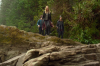 vlcsnap-2015-11-02-23h06m57s333.png