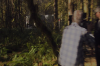 vlcsnap-2015-11-02-23h07m06s609.png