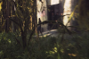 vlcsnap-2015-11-02-23h07m07s533.png