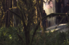 vlcsnap-2015-11-02-23h07m08s438.png