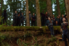 vlcsnap-2015-11-02-23h07m12s280.png