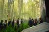 vlcsnap-2015-11-02-23h07m45s448.png