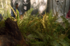 vlcsnap-2015-11-02-23h07m59s581.png