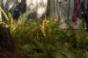 vlcsnap-2015-11-02-23h08m00s104.png