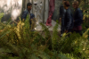 vlcsnap-2015-11-02-23h08m01s107.png
