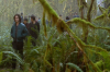 vlcsnap-2015-11-02-23h08m01s608.png