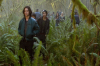 vlcsnap-2015-11-02-23h08m02s582.png
