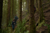 vlcsnap-2015-11-02-23h08m05s700.png