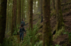 vlcsnap-2015-11-02-23h08m06s164.png