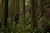 vlcsnap-2015-11-02-23h08m07s529.png
