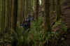 vlcsnap-2015-11-02-23h08m09s370.png