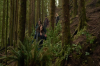 vlcsnap-2015-11-02-23h08m09s851.png