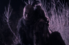 vlcsnap-2015-11-02-23h09m30s376.png