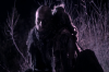 vlcsnap-2015-11-02-23h09m30s757.png
